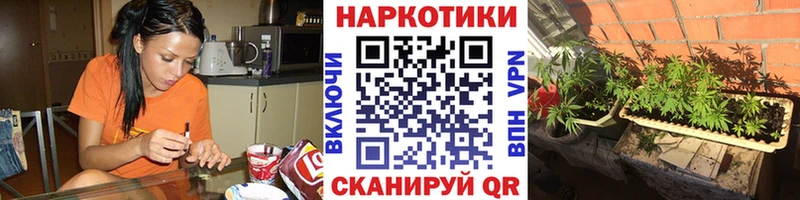 Купить закладку СК  Меф мяу мяу  Галлюциногенные грибы  КОКАИН  МАРИХУАНА  Нахабино