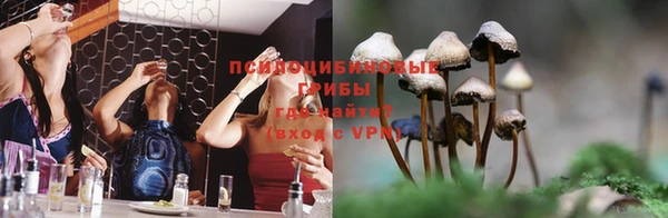 мяу мяу мука Белокуриха