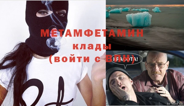 мяу мяу мука Белокуриха