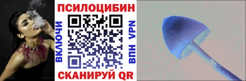 Купить  Нахабино  Псилоцибиновые грибы MAGIC MUSHROOMS 
