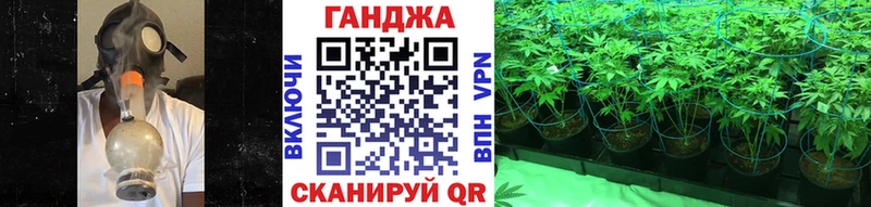 Купить закладки  Нахабино  Бошки марихуана OG Kush 